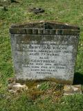 image number Jackson Albert 1189